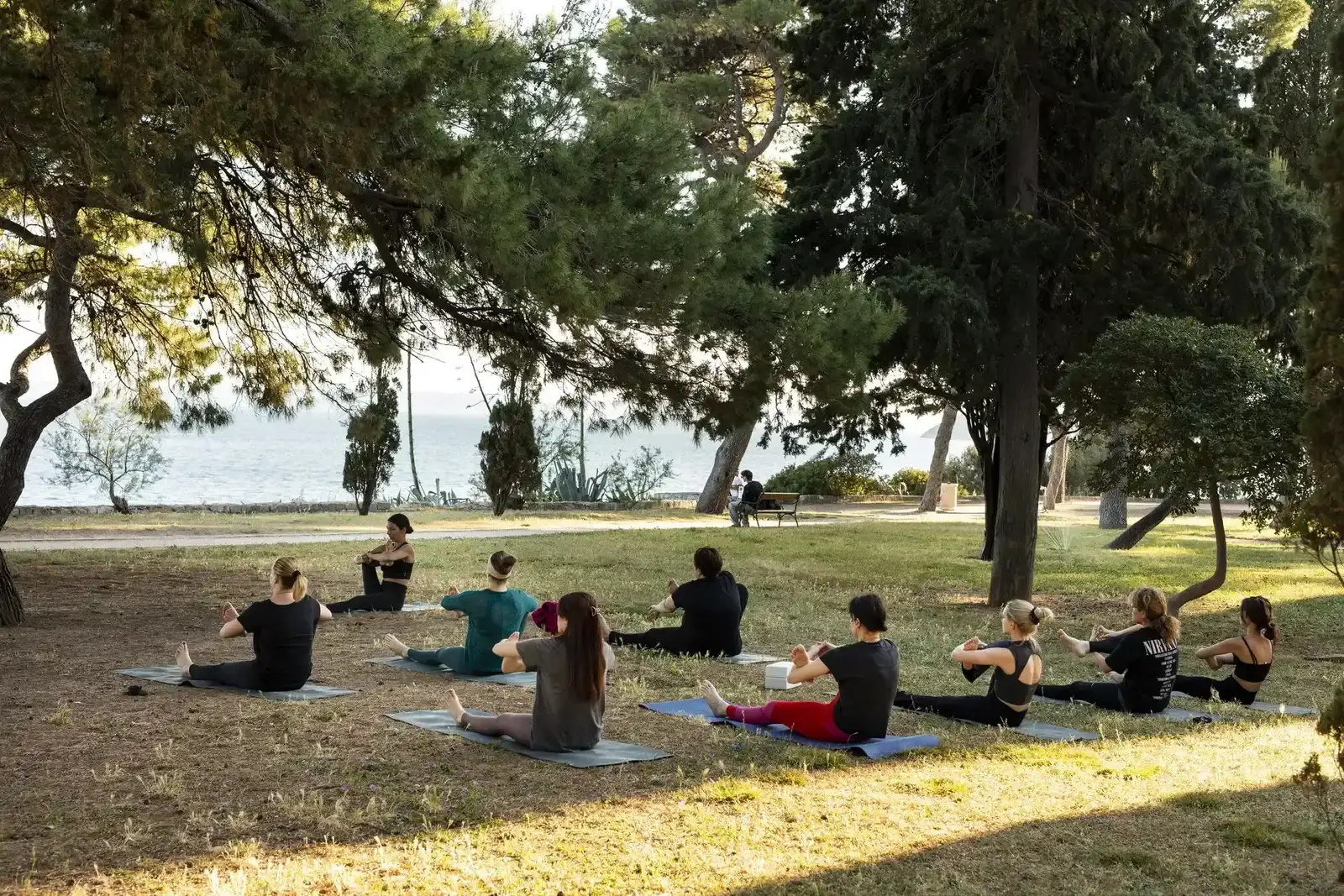 Guided alignment in seated posture